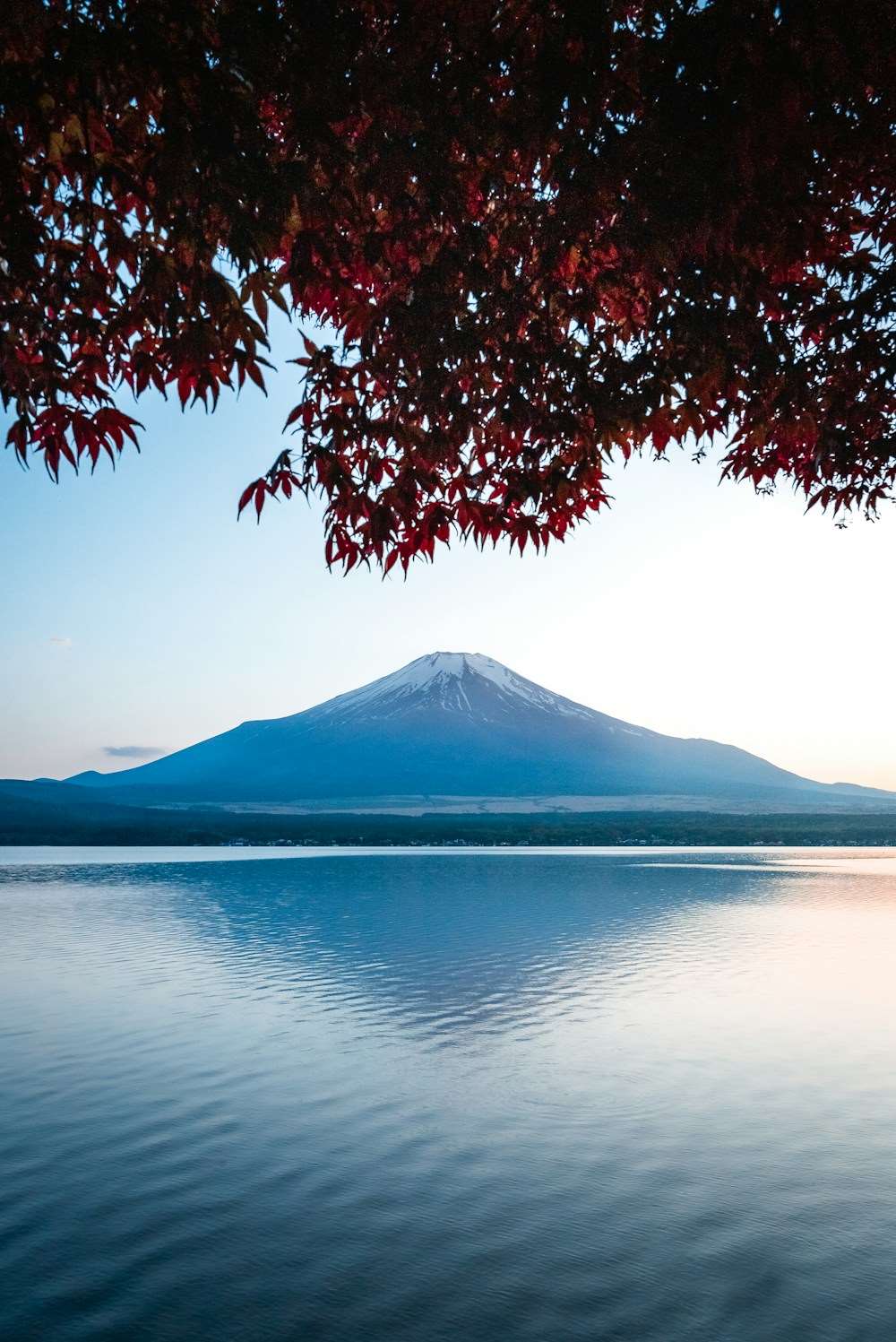 富士山與湖面